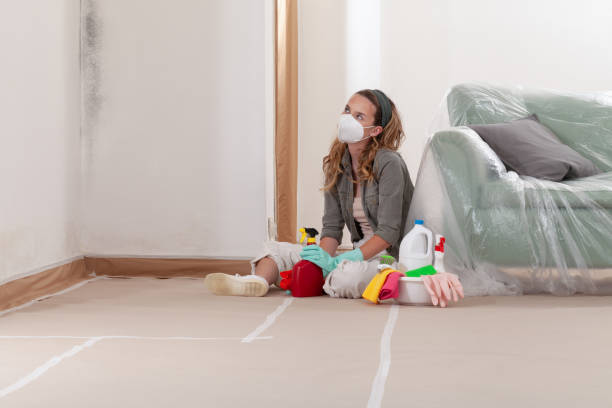 Reliable Mold Removal contractor in Hillside, NJ by 24 Hour Mold Removal